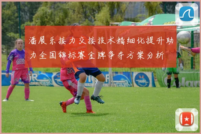 潘展乐接力交接技术精细化提升助力全国锦标赛金牌争夺方案分析